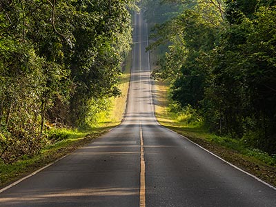 سبد اختصاصی آپشن آبنوس