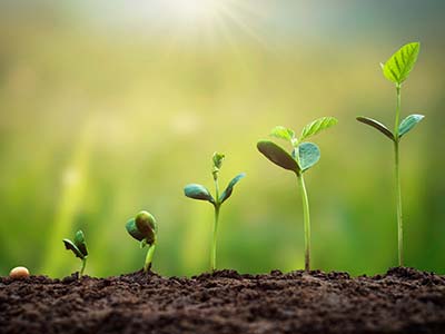 سرمایه‌گذاری در دوران تورم؛ راه‌های حفظ و رشد دارایی‌ها